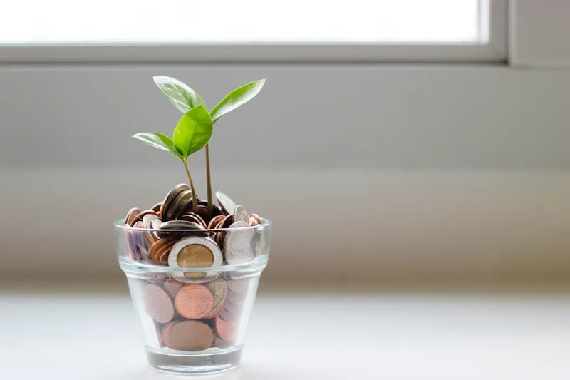 Billetes y monedas apilados con una pequeña planta creciendo
